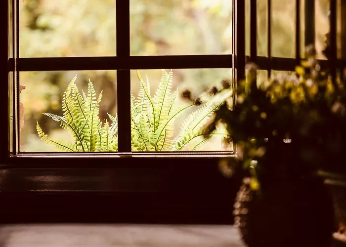 Semesterbostad Casa Da Fragua Samos